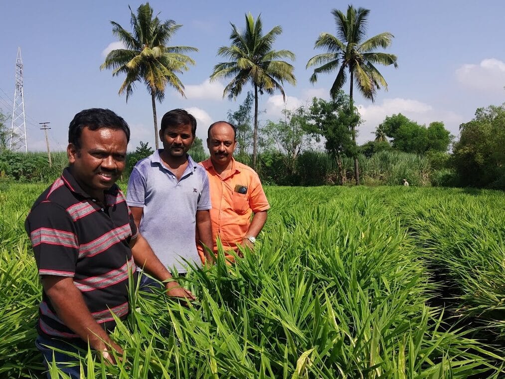 Data-Driven Agriculture who we are (1)